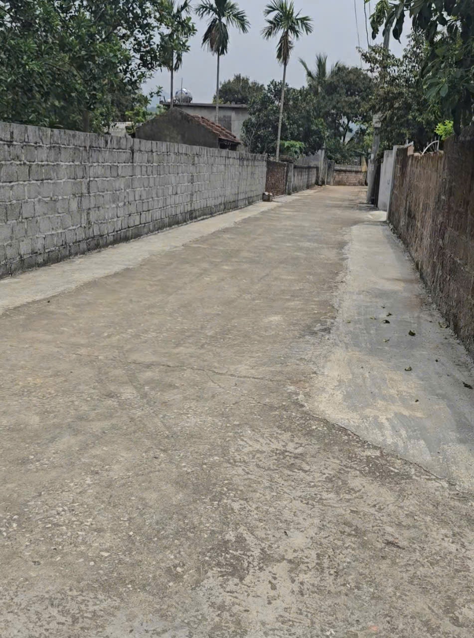 Bán 1500M_400M đất ở lô góc bám 2 mặt đường_có ao thả cá_Lạc Thuỷ Hoà Bình_2,x tỷ - Ảnh chính